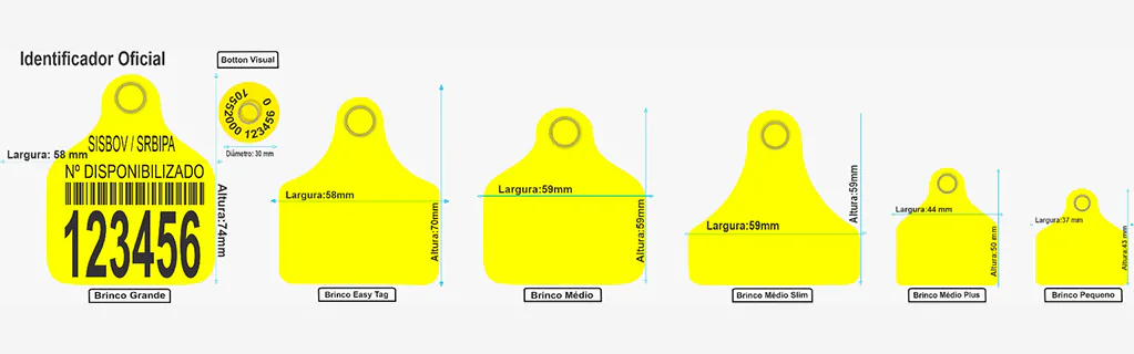 Dimensões dos identificadores PecFort