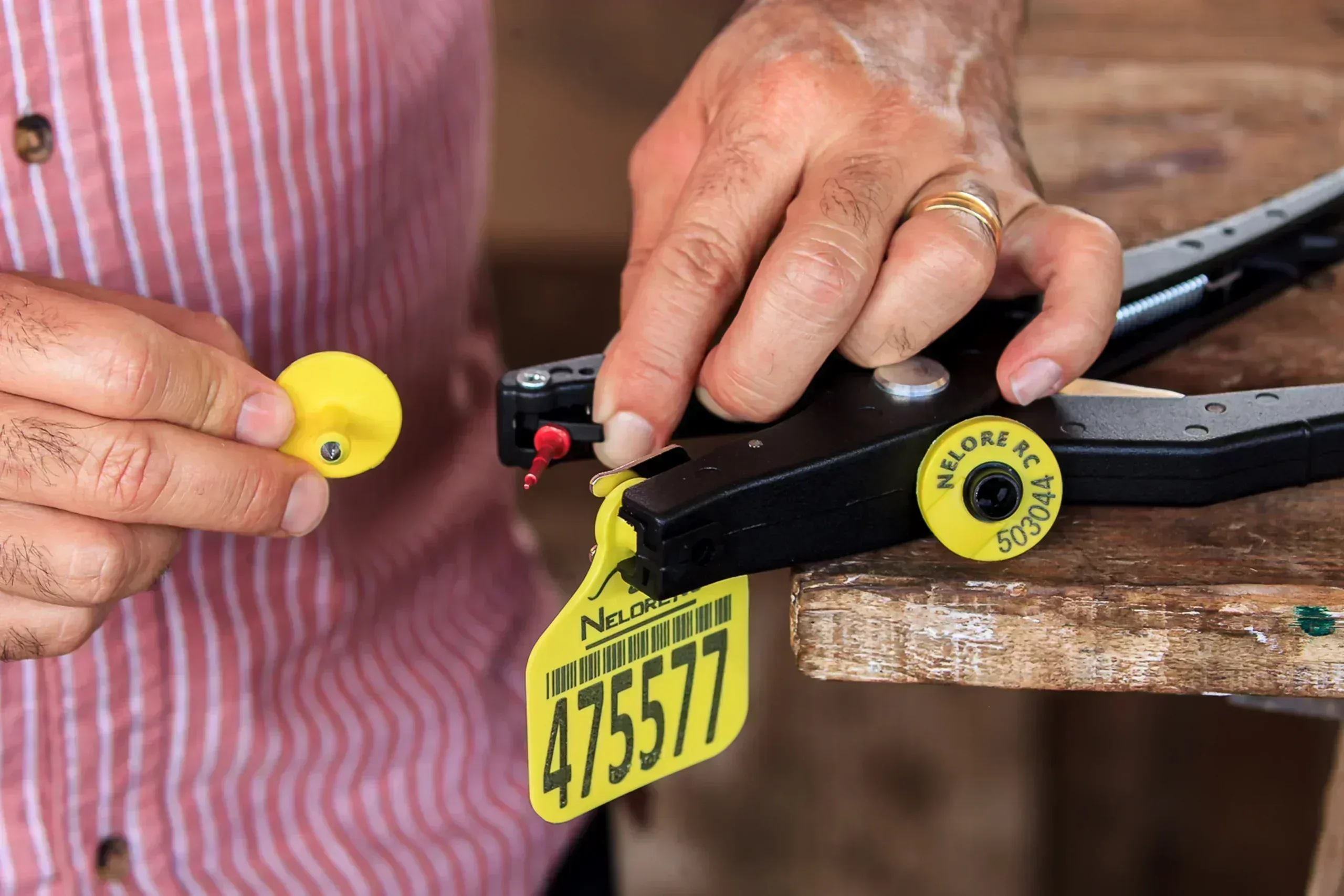 Aplicador com Agulha Flexível Pecfort