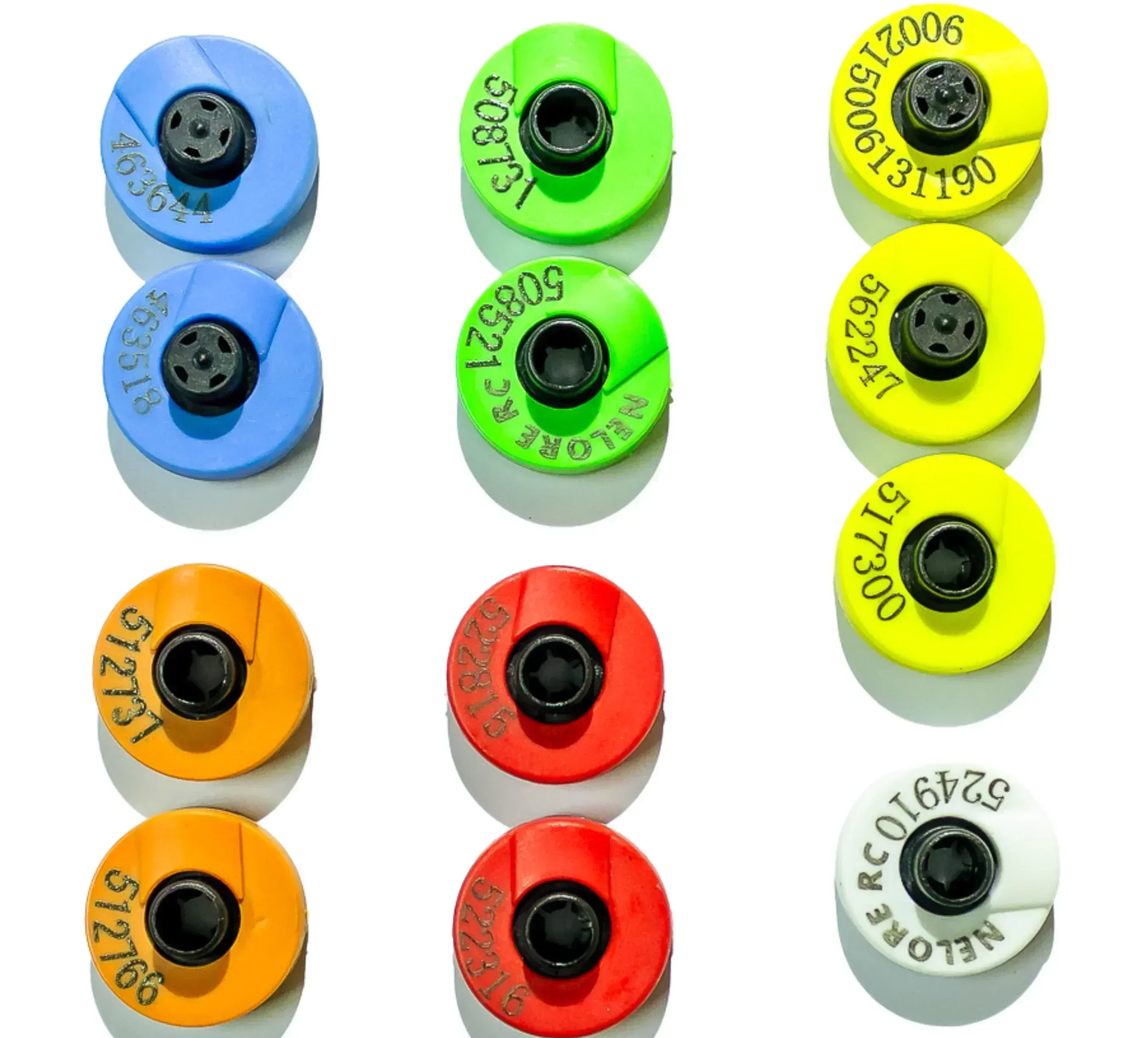 Botton – detalhado 1