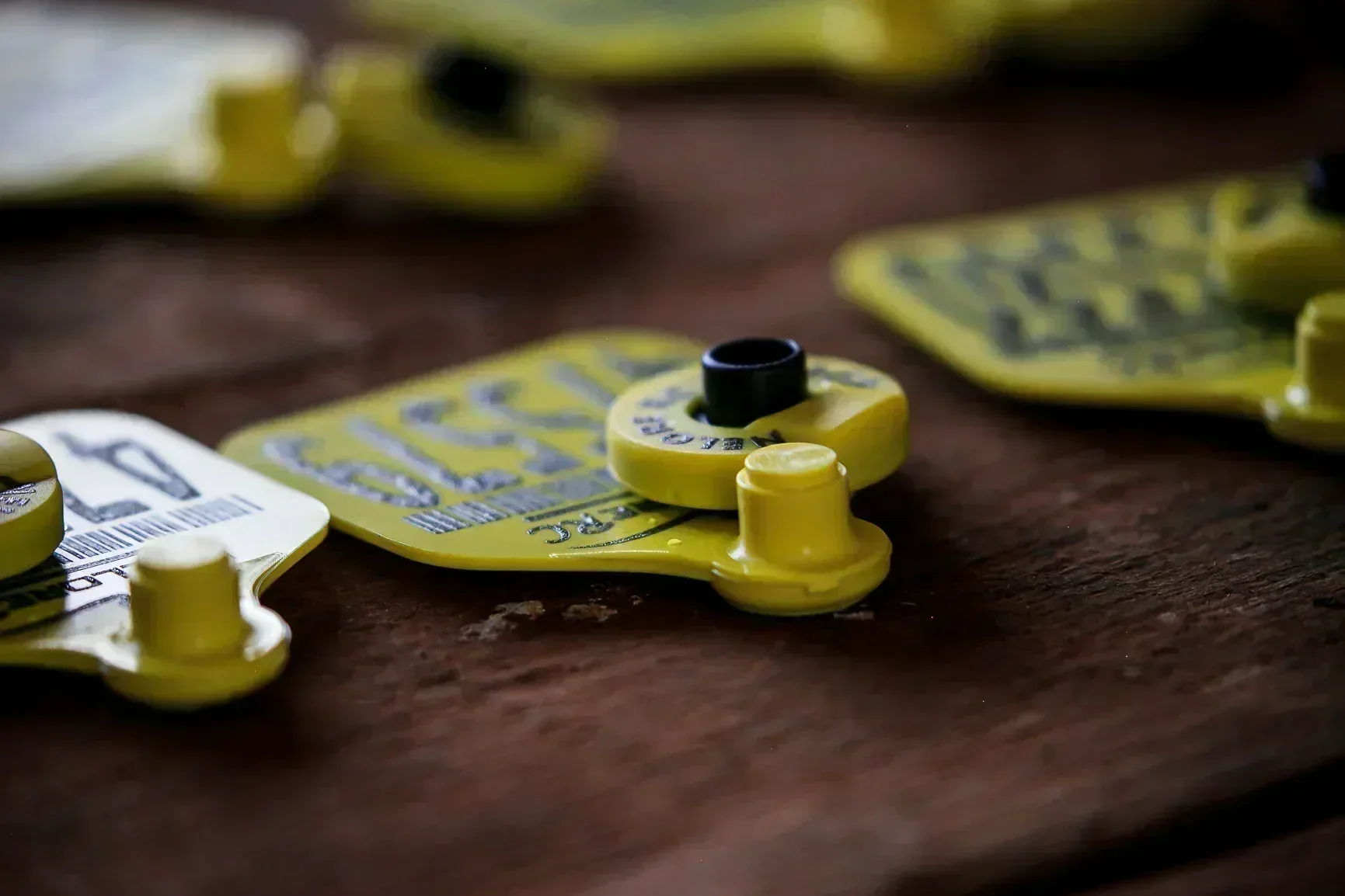 Botton – detalhado 3