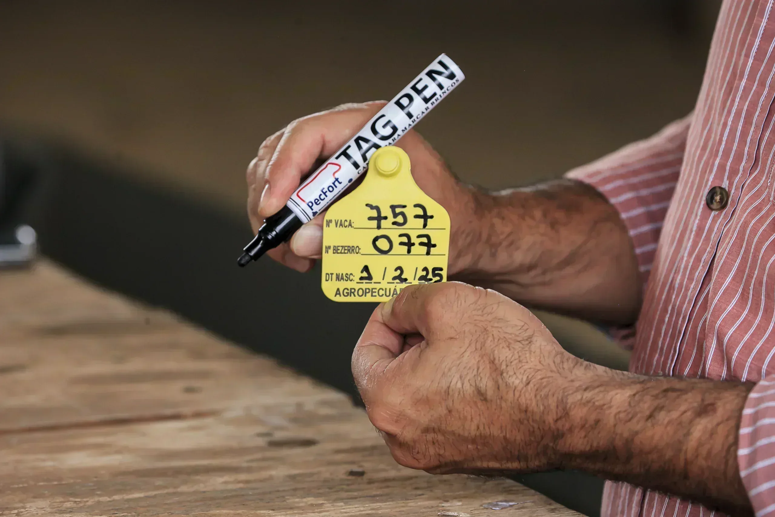 Caneta TAG-PEN Pecfort