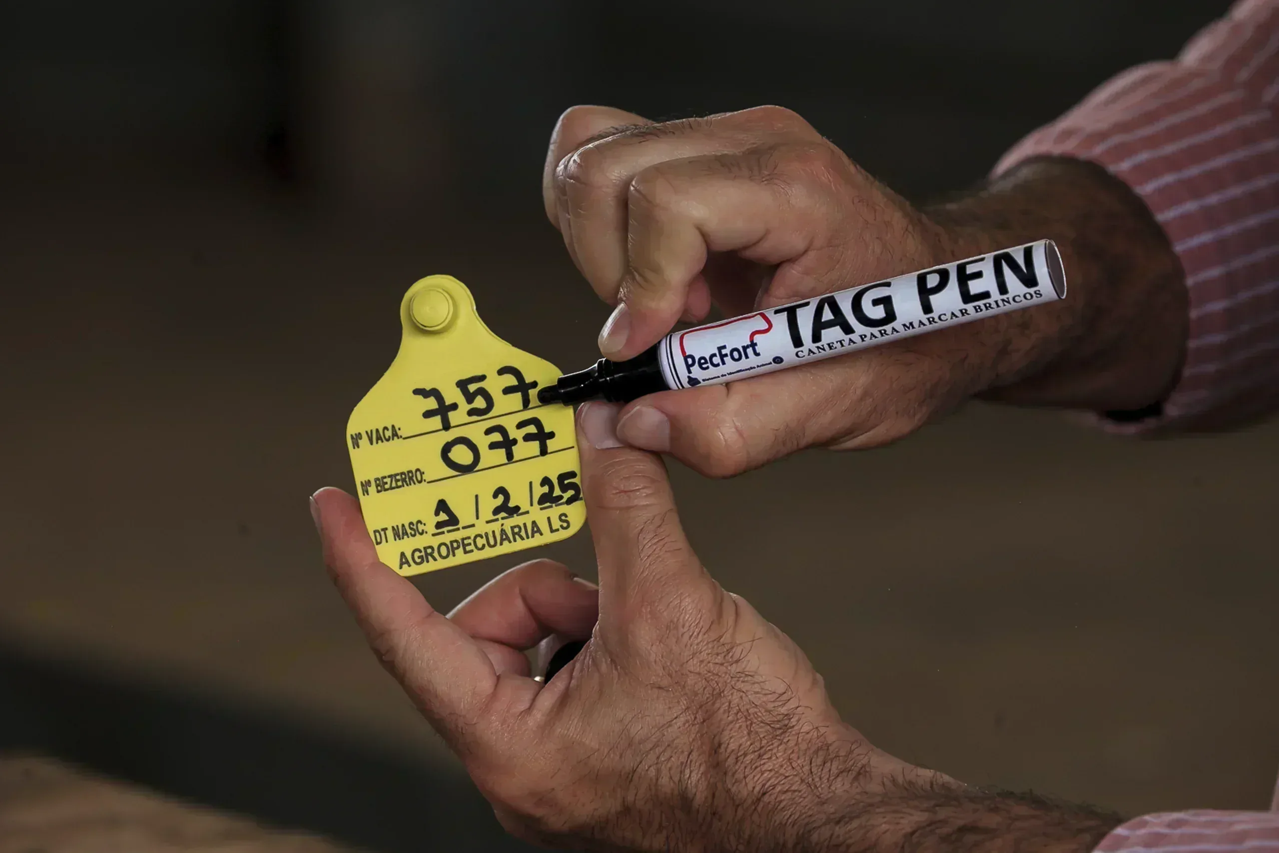 Caneta TAG-PEN Pecfort