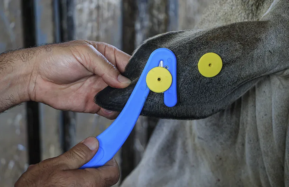 Extrator de Identificadores Animais Pecfort