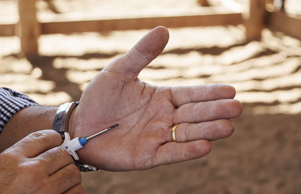 Chip Subcutâneo Pecfort