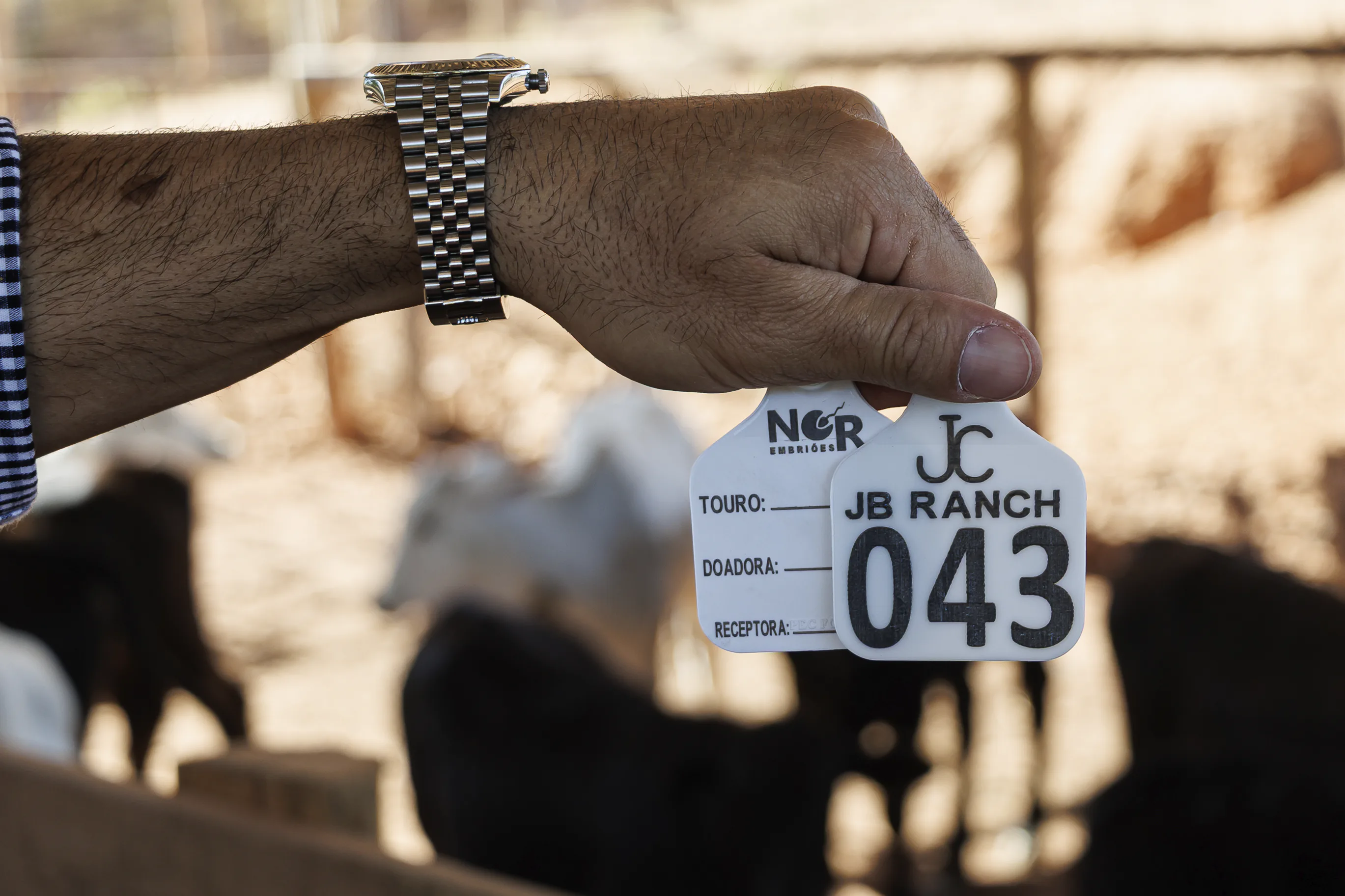 Identificador Grande Pecfort