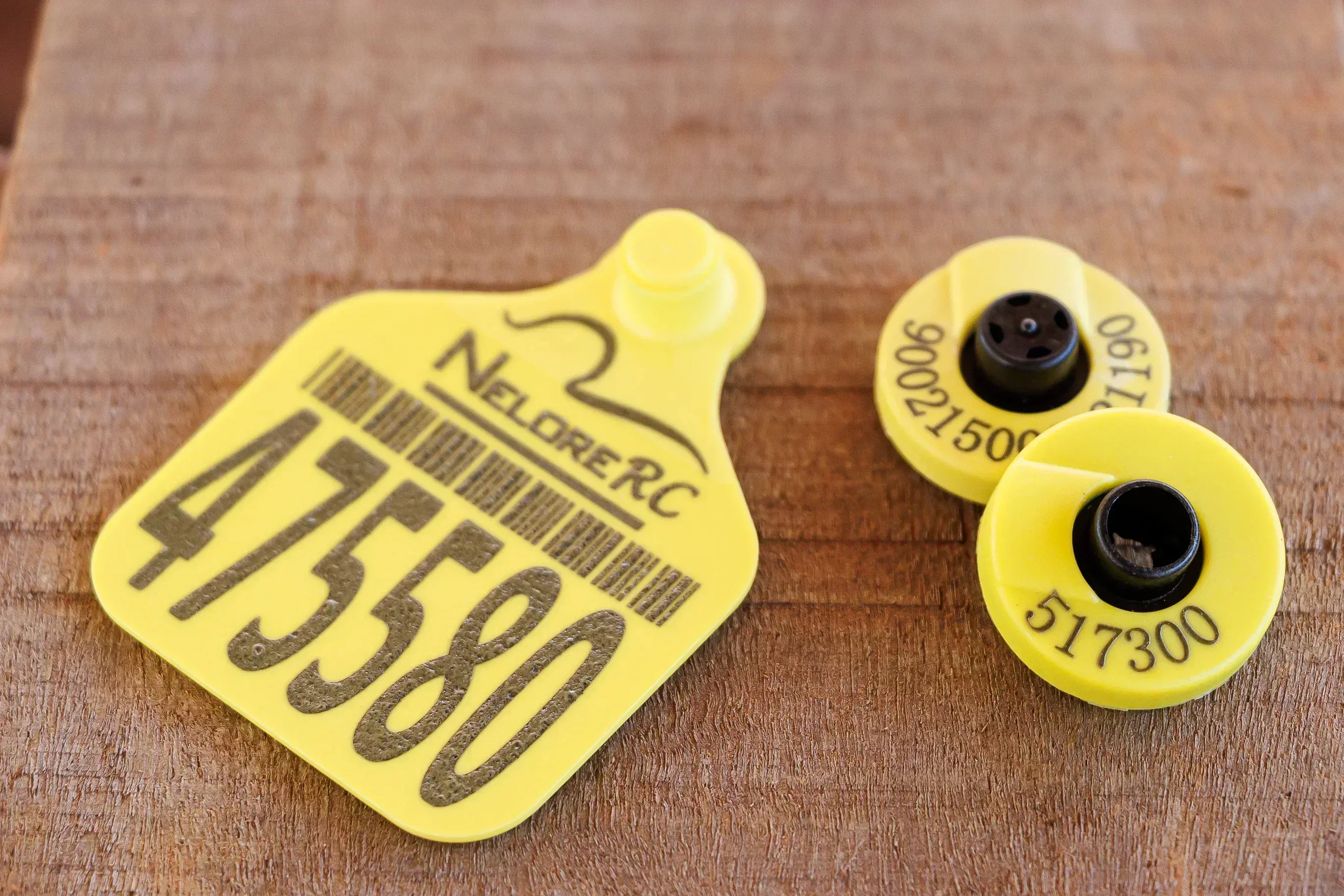 Brinco Grande – imagem