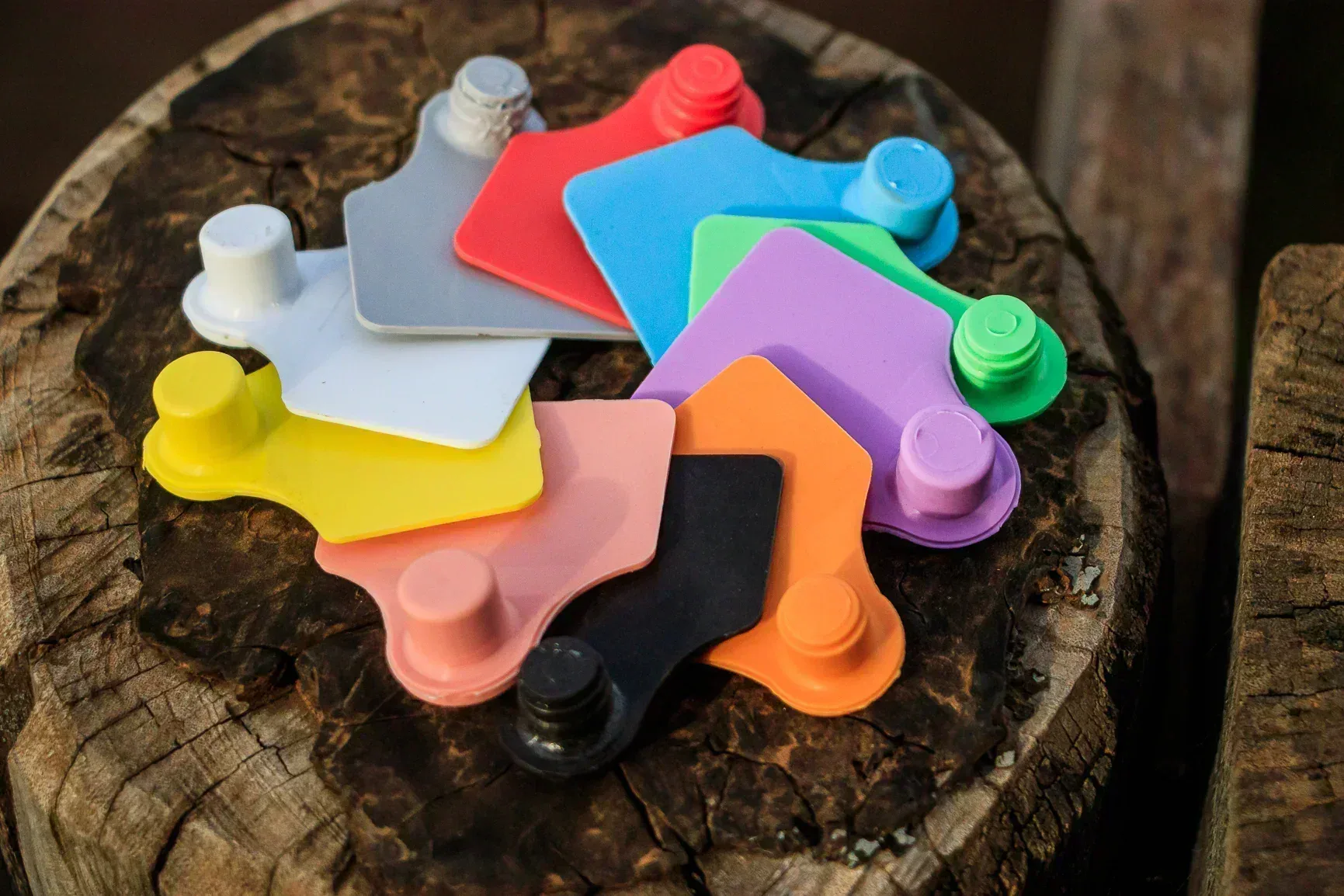 Identificador Medio Plus Pecfort