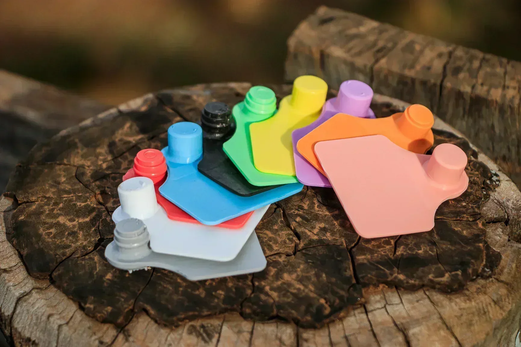 Brinco Médio Plus – imagem