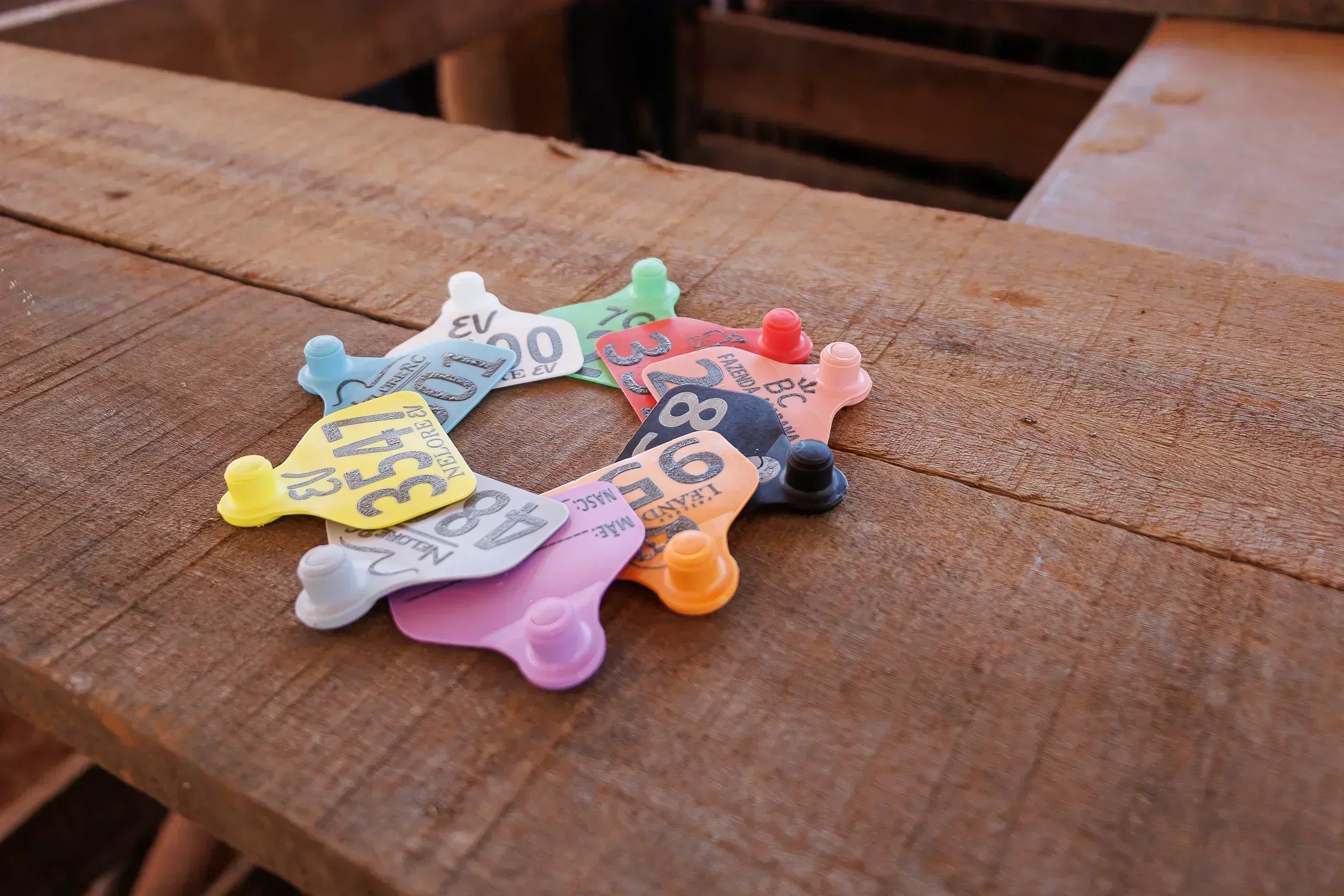 Brinco Médio – imagem