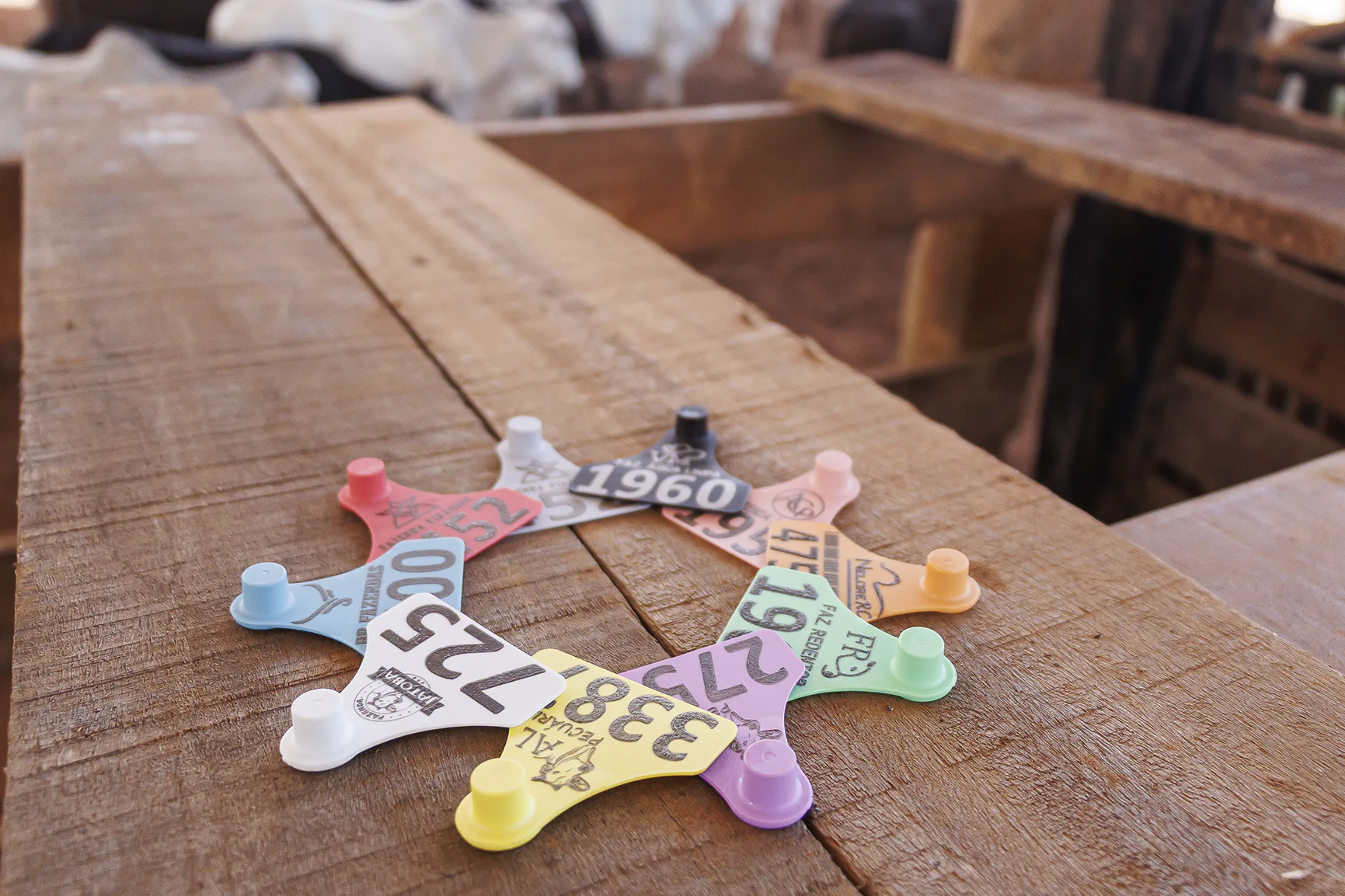 Identificador Pequeno Pecfort