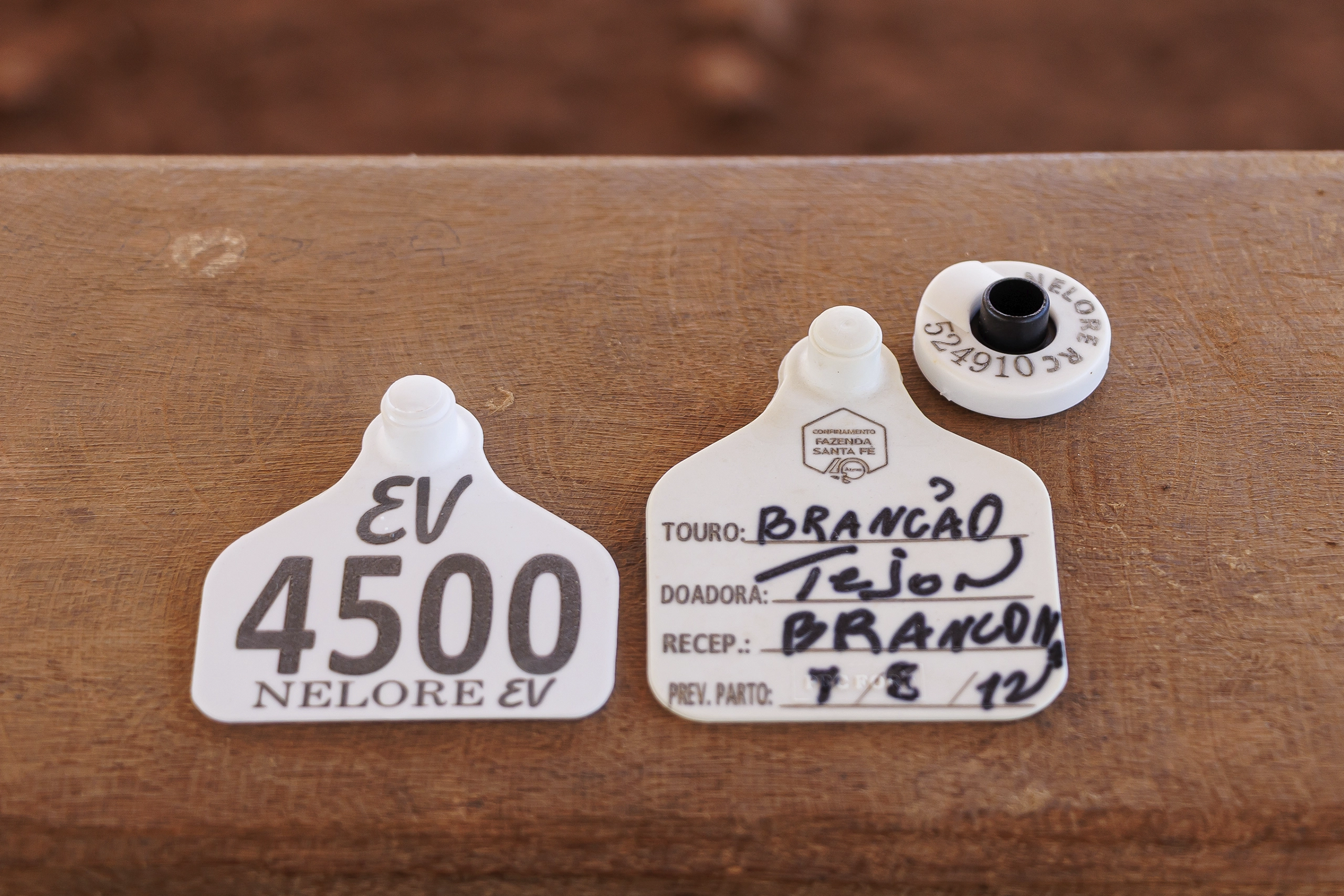 Chip Eletrônico — foto 5